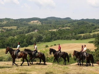 Villa Cavriglia Umgebung 22