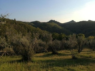 Villa Cavriglia Umgebung 24