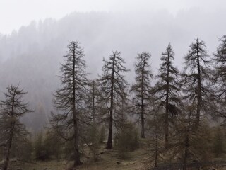 Appartamento per vacanze Graun  23