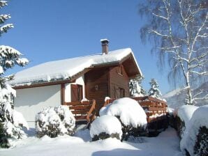 Ferienpark Gemütliches Chalet mit Geschirrspüler in den Hochvogesen - le thillot - image1