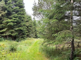 Casa per le vacanze Snedsted  4