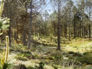 Vakantiehuis Snedsted  18