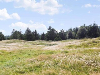 Vakantiehuis Snedsted  10
