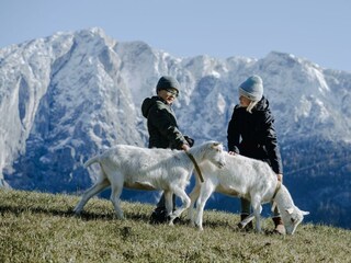 Urlaub am Bauernhof, Ferienhaus Em&Ma, Bad Aussee