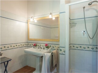 Villa Gambassi Terme Caratteristiche 26