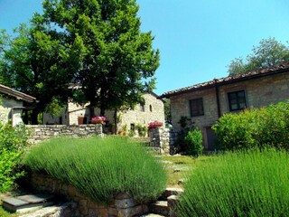 Vakantiehuis Radda in Chianti Buitenaudio-opname 12