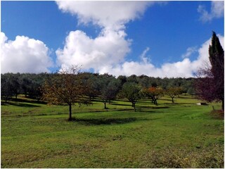Casa per le vacanze Radda in Chianti Ambiente 28