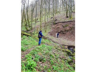 Bergwald-Wanderung