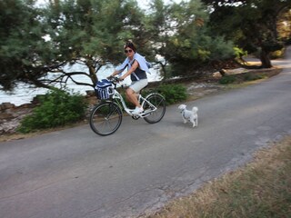 Appartement de vacances Pula Environnement 33
