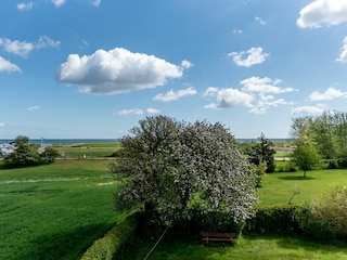 Vakantieappartement Kronsgaard Buitenaudio-opname 4