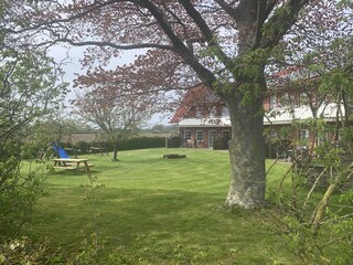 Vakantieappartement Kronsgaard Buitenaudio-opname 13