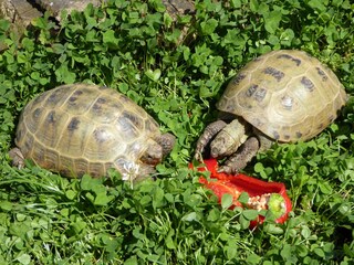 Bungalow Bastorf Registrazione all'aperto 9