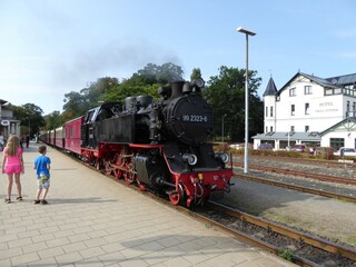 Bungaló Bastorf Entorno 20