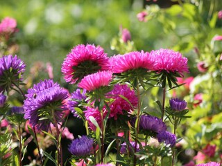 Vakantiehuis Bastorf  37