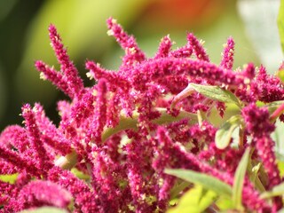 Casa de vacaciones Bastorf  40