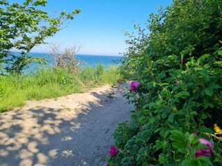 Vakantiehuis Teßmannsdorf Omgeving 22