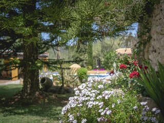 Casa de campo Cala Llonga  30