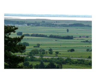 Appartamento per vacanze Donnerskirchen Registrazione all'aperto 5