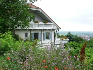 Appartamento per vacanze Donnerskirchen Registrazione all'aperto 4