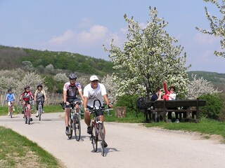 Appartamento per vacanze Donnerskirchen Ambiente 16