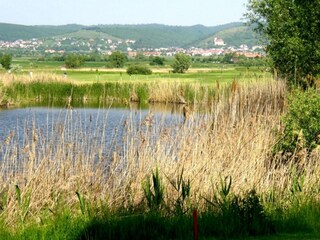 Appartamento per vacanze Donnerskirchen Ambiente 17