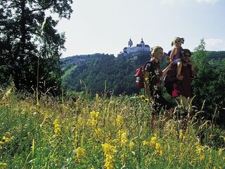 Appartamento per vacanze Donnerskirchen Ambiente 21