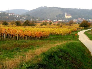 Appartamento per vacanze Donnerskirchen Ambiente 22