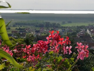 Appartamento per vacanze Donnerskirchen Registrazione all'aperto 8