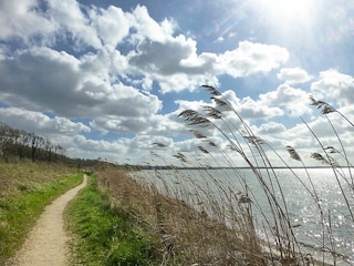 Wanderwege entlang der Förde