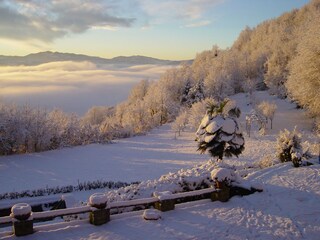 Appartamento per vacanze Castino Ambiente 17