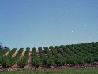 Appartamento per vacanze Castino Ambiente 20