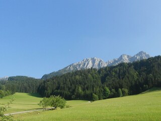 Bauernhof Großwolfing Ebbs - Blick auf die Berge