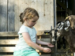 Bauernhof Großwolfing Ebbs - Kind mit Ziegen