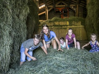 Bauernhof Großwolfing Ebbs - Kinder im Stall