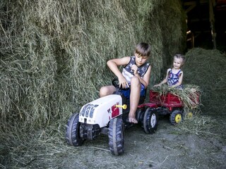 Bauernhof Großwolfing Ebbs - Kinder Traktor