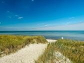 Strand Markgrafenheide