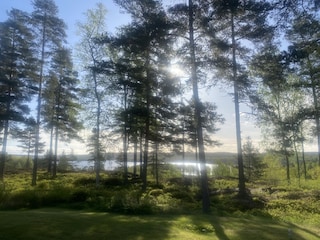 Früh morgens im Garten
