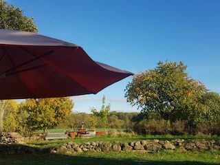 Seele baumeln lassen in der Natur..