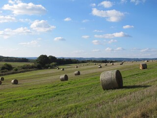 As far as the eye can see...