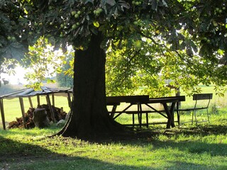 Idylle auf dem Hof