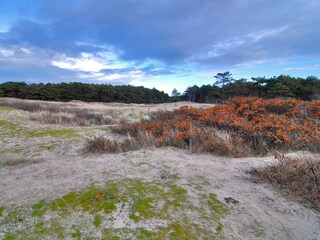 Vakantiehuis Renesse Omgeving 17