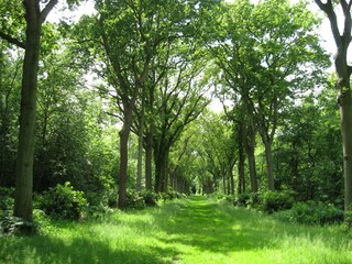 Vakantiehuis Brouwershaven Omgeving 19
