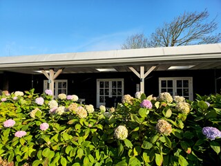 Appartamento per vacanze Domburg Registrazione all'aperto 2