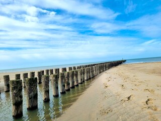 Holiday house Domburg Environment 20