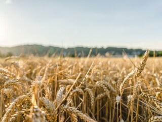 Casa per le vacanze Gapinge Ambiente 18