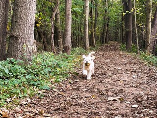Casa per le vacanze Vrouwenpolder Ambiente 26