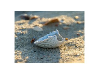 Casa per le vacanze Vrouwenpolder Ambiente 28