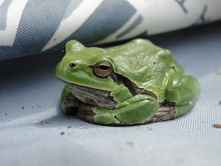 Appartamento per vacanze Groß Gievitz Ambiente 17