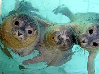 Casa per le vacanze Lauwersoog Ambiente 23