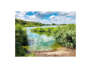 Casa per le vacanze Lauwersoog Ambiente 21